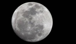 月亮吃瓜娱乐说