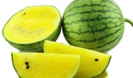 吃瓜娱乐图片高清无水印