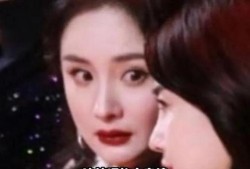 关于娱乐圈吃瓜的小说,瓜田里的秘密风云录