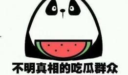 吃瓜娱乐最新官网,揭秘娱乐圈最新动态，带你畅游娱乐盛宴