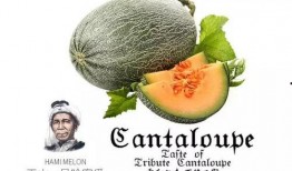 娱乐吃瓜配乐推荐,盘点热门配乐推荐