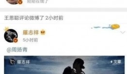 娱乐吃瓜老王是谁的小说,揭秘娱乐圈幕后风云