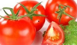 番茄娱乐圈读心吃瓜文,揭秘明星内心世界，吃瓜群众必备指南