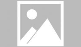 瓜地吃瓜娱乐圈,娱乐圈的甜蜜与苦涩