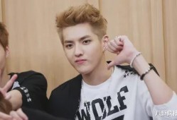 娱乐圈吃瓜李宏毅是谁啊,揭秘他的明星之路