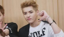 娱乐圈吃瓜李宏毅是谁啊,揭秘他的明星之路