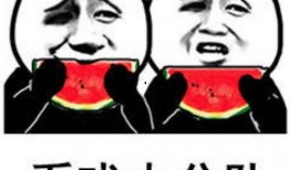 吃瓜娱乐鹅,揭秘娱乐圈背后的那些事儿