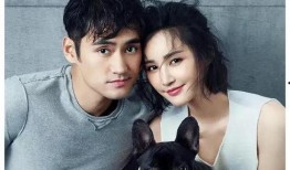 小田娱乐圈吃瓜爆料微博,揭秘明星幕后故事