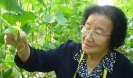 娱乐吃瓜酱连自己人也坑,坑人无数，连自己人也坑的“瓜王”传奇