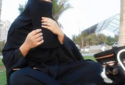 搜娱乐吃瓜君,揭秘娱乐圈最新热点事件