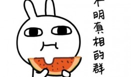 娱乐有态度吃瓜有深度的句子,深度解析吃瓜群众的趣味世界