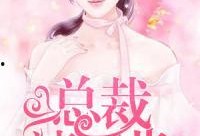 吃瓜小说娱乐圈番茄小说,番茄小说中的瓜田盛宴