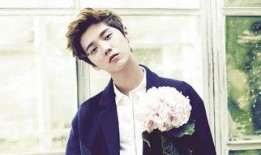 吃瓜娱乐鹿晗完整版,揭秘明星幕后生活