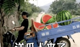 娱乐吃瓜文案啊怎么说的