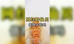 娱乐吃瓜咖啡,揭秘娱乐圈幕后故事