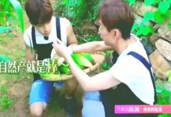 吃瓜星娱乐趣人趣事儿,趣人趣事儿大揭秘