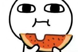 娱乐吃瓜君 刘二豆