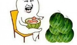 娱乐圈免费吃瓜,免费吃瓜，揭秘明星幕后故事