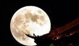 月亮吃瓜娱乐说