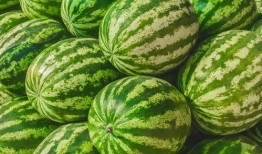 娱乐圈吃瓜要吃就吃个够